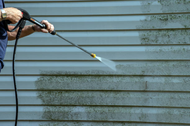 Best Pool Deck Cleaning  in Wooster, AR